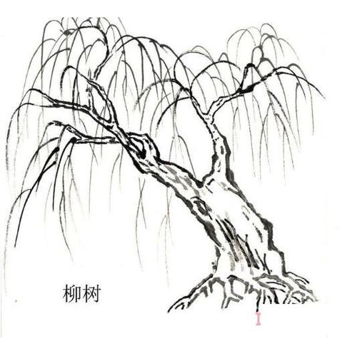 河边柳树简笔画怎么画简单好看