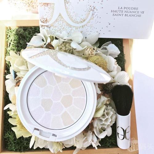圣诞限定 雅丽格丝 欢颜蜜粉饼 e大饼 elegance 高光散粉 澳尔滨