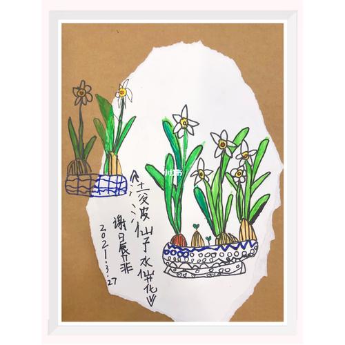 少儿创意美术:水仙花写生_水仙花_创意美术_绘画_少儿