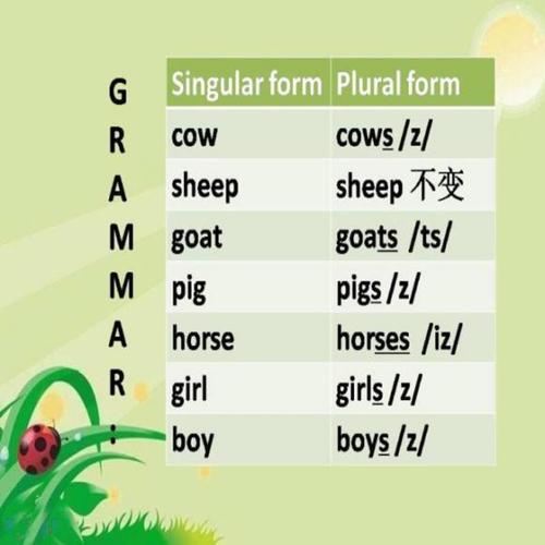 singular form and plural form 20170717@linzihan