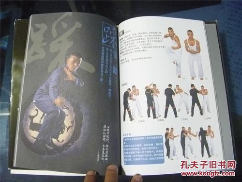 少林十二路谭腿(附dvd光盘1张)