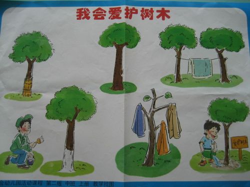 爱护树木 - happytree_jgy - happytree_jgy的博客