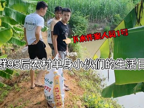 一群95后单身小伙们乡下农村的日常生活动态_单身_日常生活_九里香