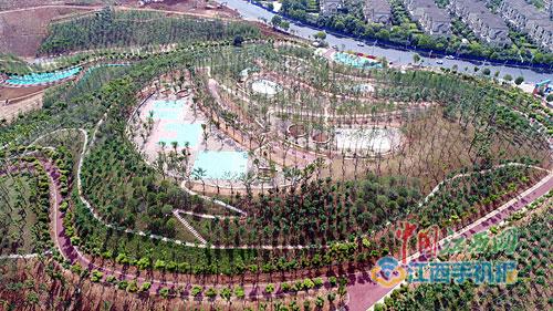 浔南城市森林公园建成开园(图)