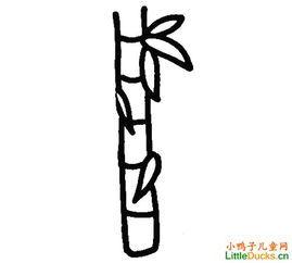 竹节的简笔画