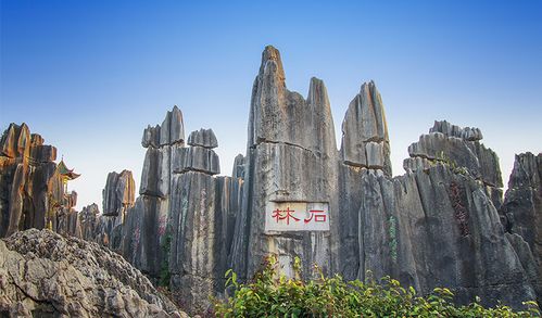 昆明石林九乡纯玩一日游(3h漫游石林风景区 乘索道纵览九乡 市区二环