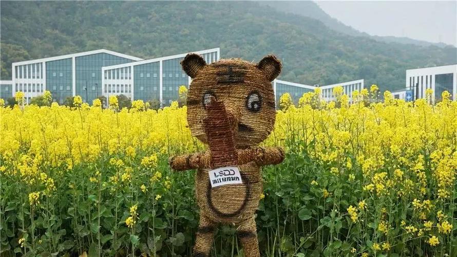 杭州湘湖千亩油菜花海新花样,快带宝贝去赏花看稻草人