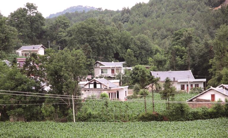 威宁自治县羊街镇双河村红军坟 逝去的是硝烟 不朽的是精神
