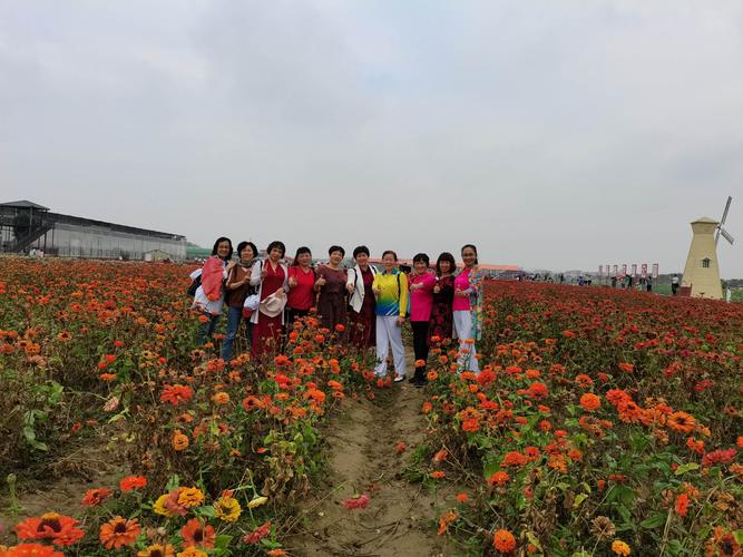 惠州花海 2020.11.23(副本)(副本)