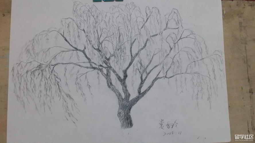 柳树简笔画怎么画