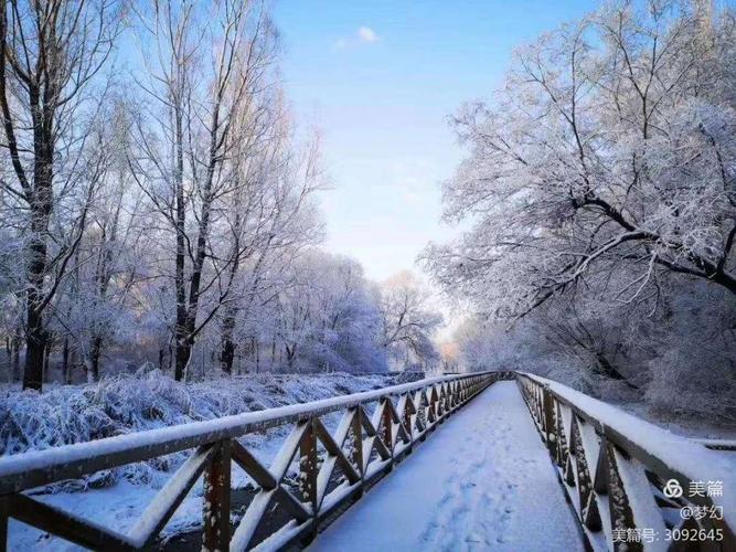 阳春白雪
