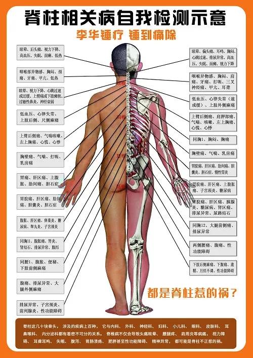 如何诊断脊柱?诊断的要点有哪些?