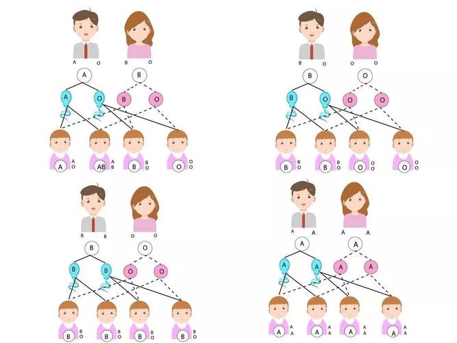 父母子女血型遗传学规律      所以,o型血和a型血的父母