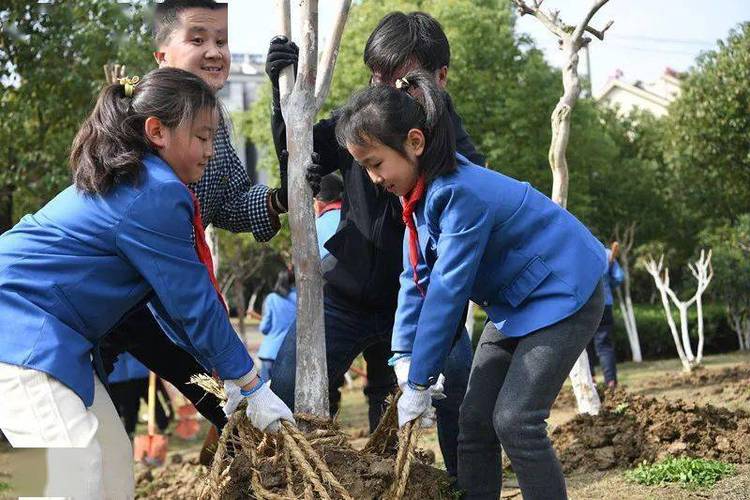 把绿色"种"在心里!合肥各学校开展植树节活动