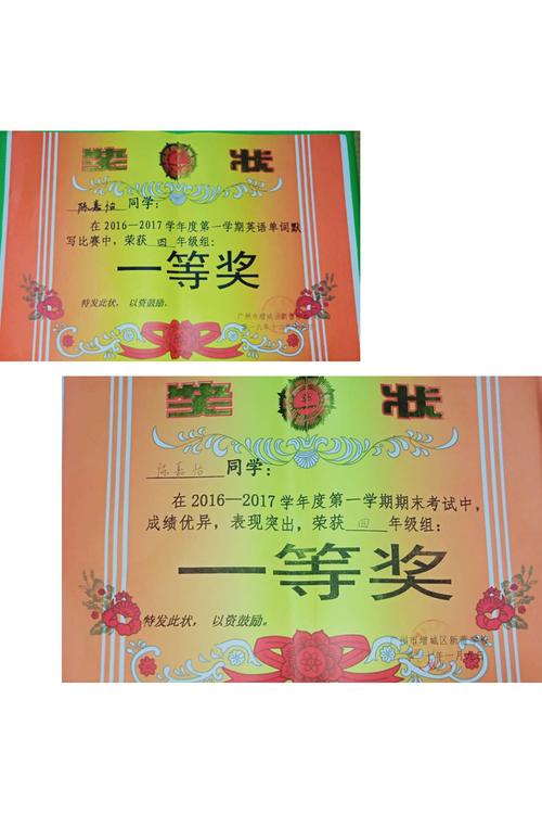 陈嘉怡个人简历
