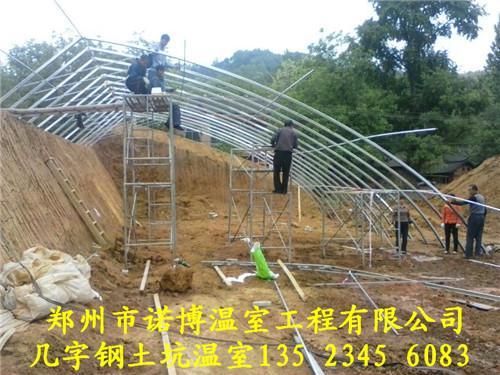 怎样建造土墙棚 蔬菜日光温室大棚 拱棚