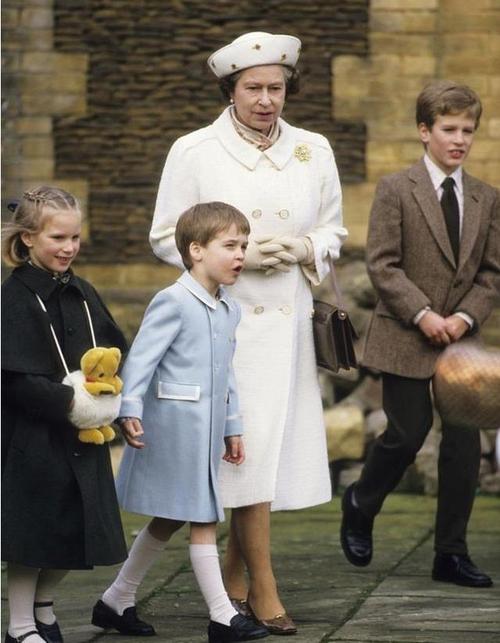 英国女王的八个孙辈在优胜劣汰的生存法则下他们成为多余的人