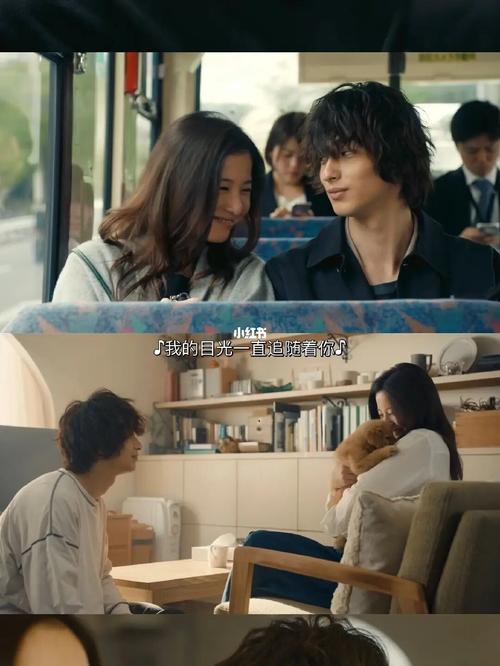 《你的眼睛在追问》_电影推荐_治愈_拳击手怎么样_日本电影_芒果_影视