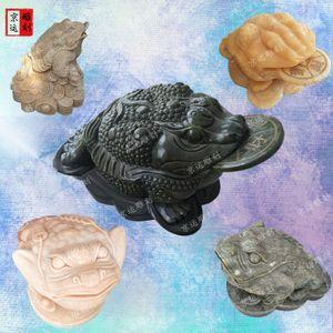 石头金蟾