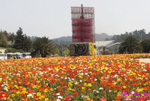 昆明世博园设在昆明东北郊的金殿风景名胜区,距昆明市区约4公里.