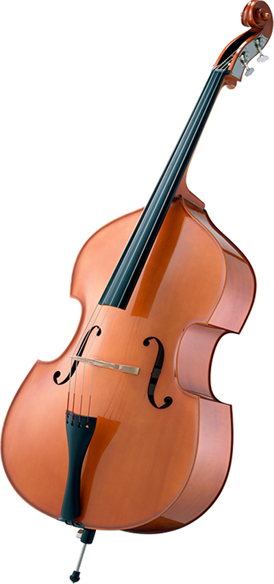 小提琴 中提琴 低音提琴 大提琴