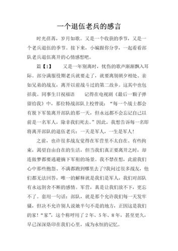 一个退伍老兵的感言docx8页
