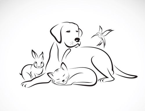 猫,小鸟,昆虫,马,动物,宠物,插图,设计,卡通,标志诊所,艺术,黑色,线条