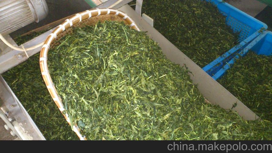 2013大量批发浙江毛尖绿茶 烘炒青散装茶叶 云雾香茶
