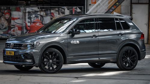 途观l这个改色真好看