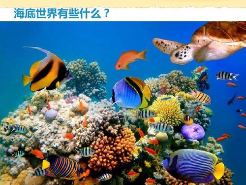 一年级下册美术课件海底世界多奇妙4岭南版