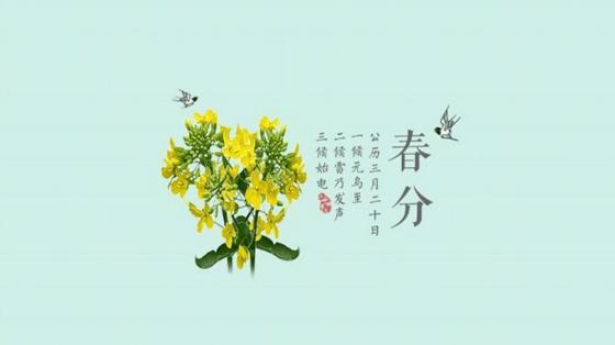 农村俗语春分无雨是空年有道理吗春分过后还会冷吗