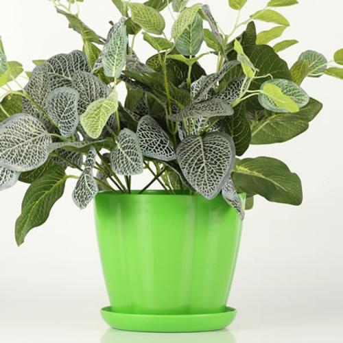 室内阳台盆栽多肉绿萝植物仿陶瓷创意圆形小花盆 花瓣-绿色(含托盘)