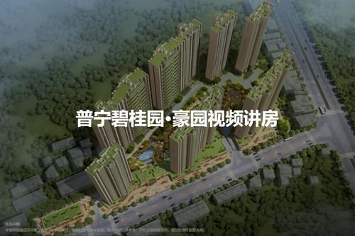 普宁碧桂园·豪园