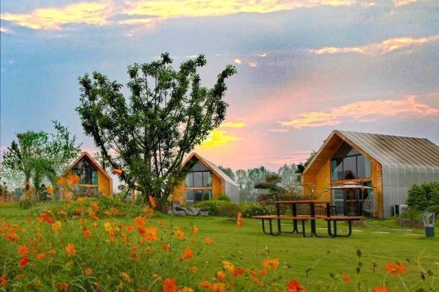 天府农博"共享农庄"模式成为乡村振兴"教科书"