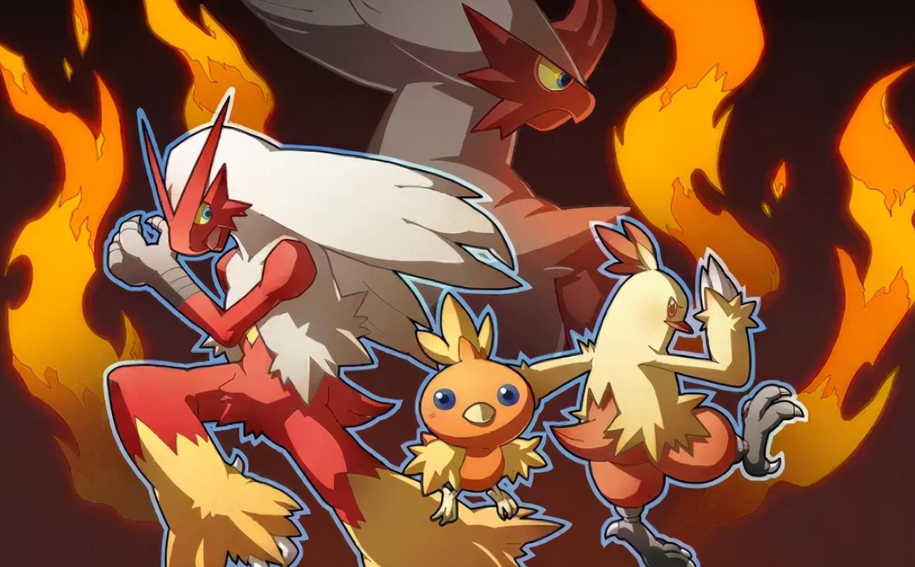 宝可梦火焰鸡只有强化剑舞一说双打路数可是完全不同