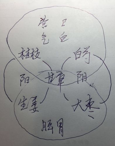 第三节:天下第一方"桂枝汤"鉴赏(6月10日)