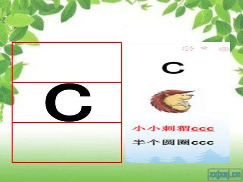 家庭小练习: 1.练习读声母c 2.