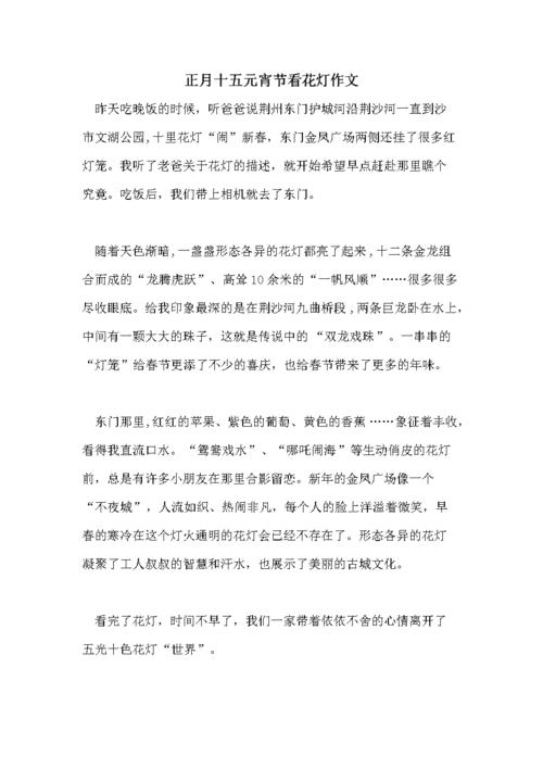 正月十五元宵节看花灯作文.doc 6页