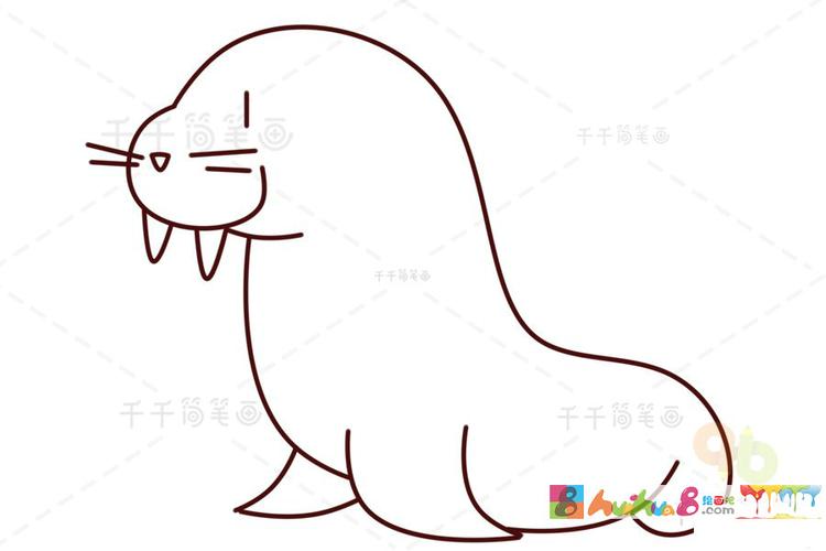 海象简笔画 儿童画动物
