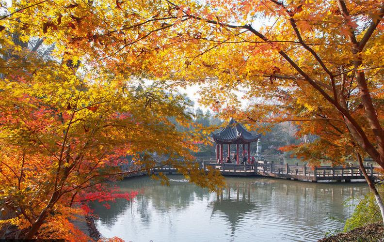 的栖霞山,有"第一金陵明秀山"的美誉,"是我国四大红叶观赏风景区之一