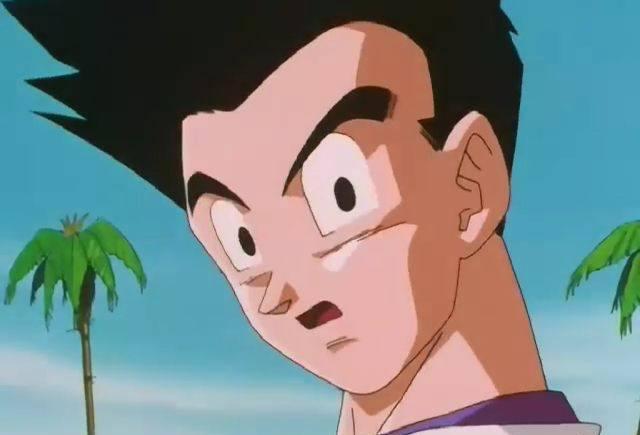 这是孙悟天成年之后的发型,可以看出,悟天的发型是朝着一边的.