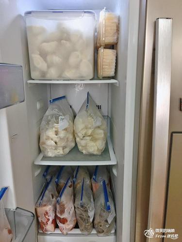 瑞妈教大家整理冰箱冷冻室