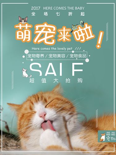 宠物店宣传促销海报psd源文件