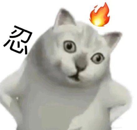 奇怪的知识增加了什么梗什么意思抖音奇怪的知识增加了mur猫表情包