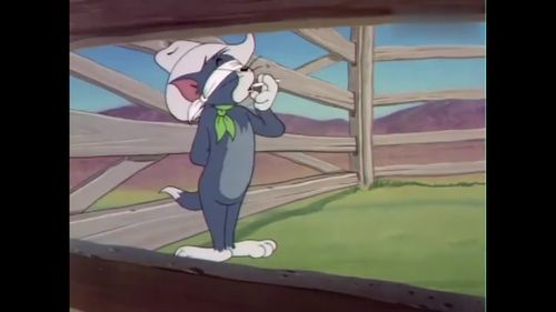 猫和老鼠这老牛真是不好惹为了收拾汤姆自己换了个大牛角