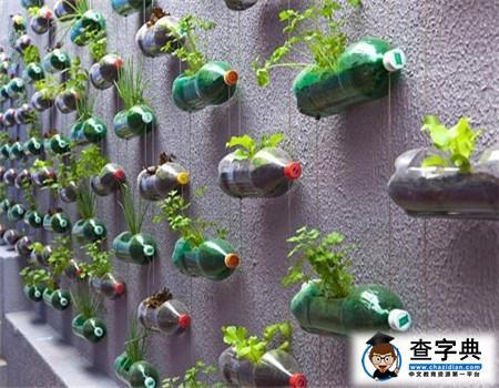 手工制作大全:装在瓶子里的春天