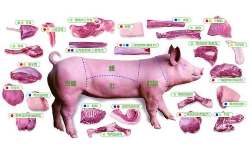 猪肉各部位肉质吃法详解