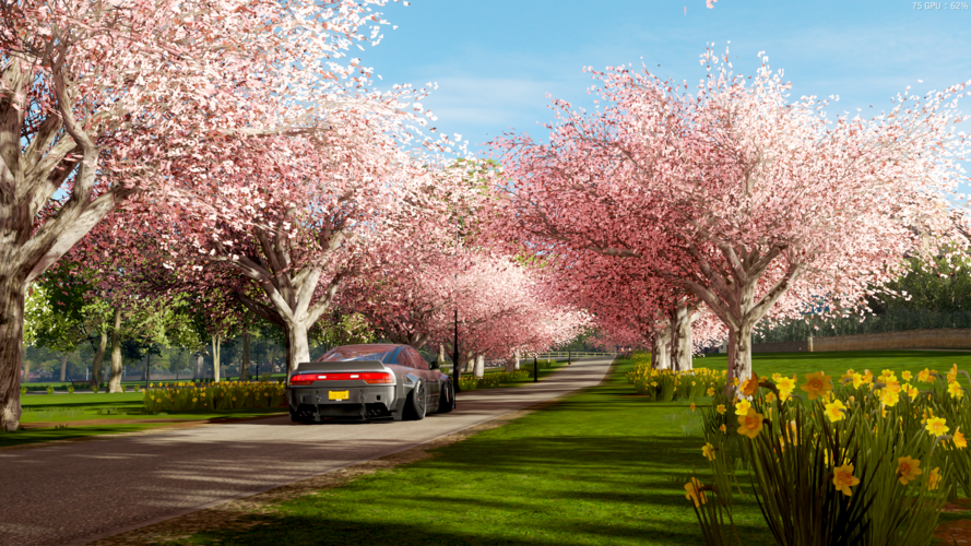 (樱花 花海 篇)极限竞速 地平线4个人摄影作品分享