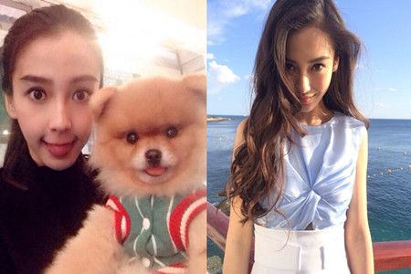 angelababy生子后竟出手阔绰 投掷千万购豪宅