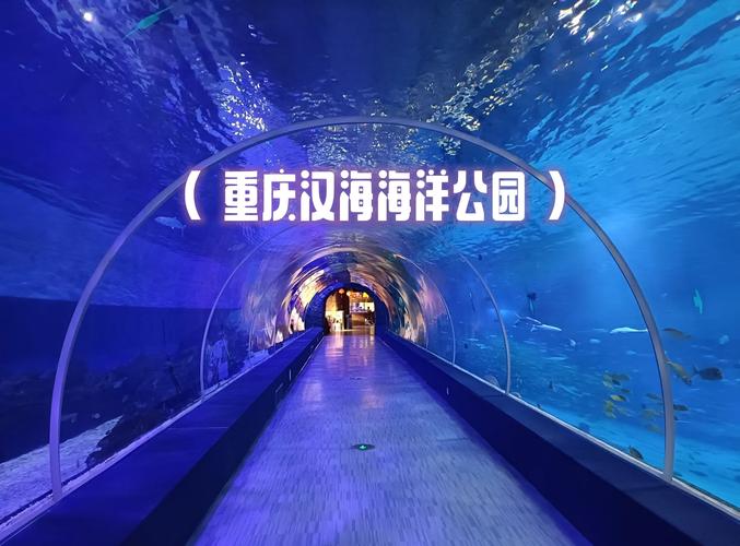 重庆汉海海洋公园体验:适合小朋友的家庭游